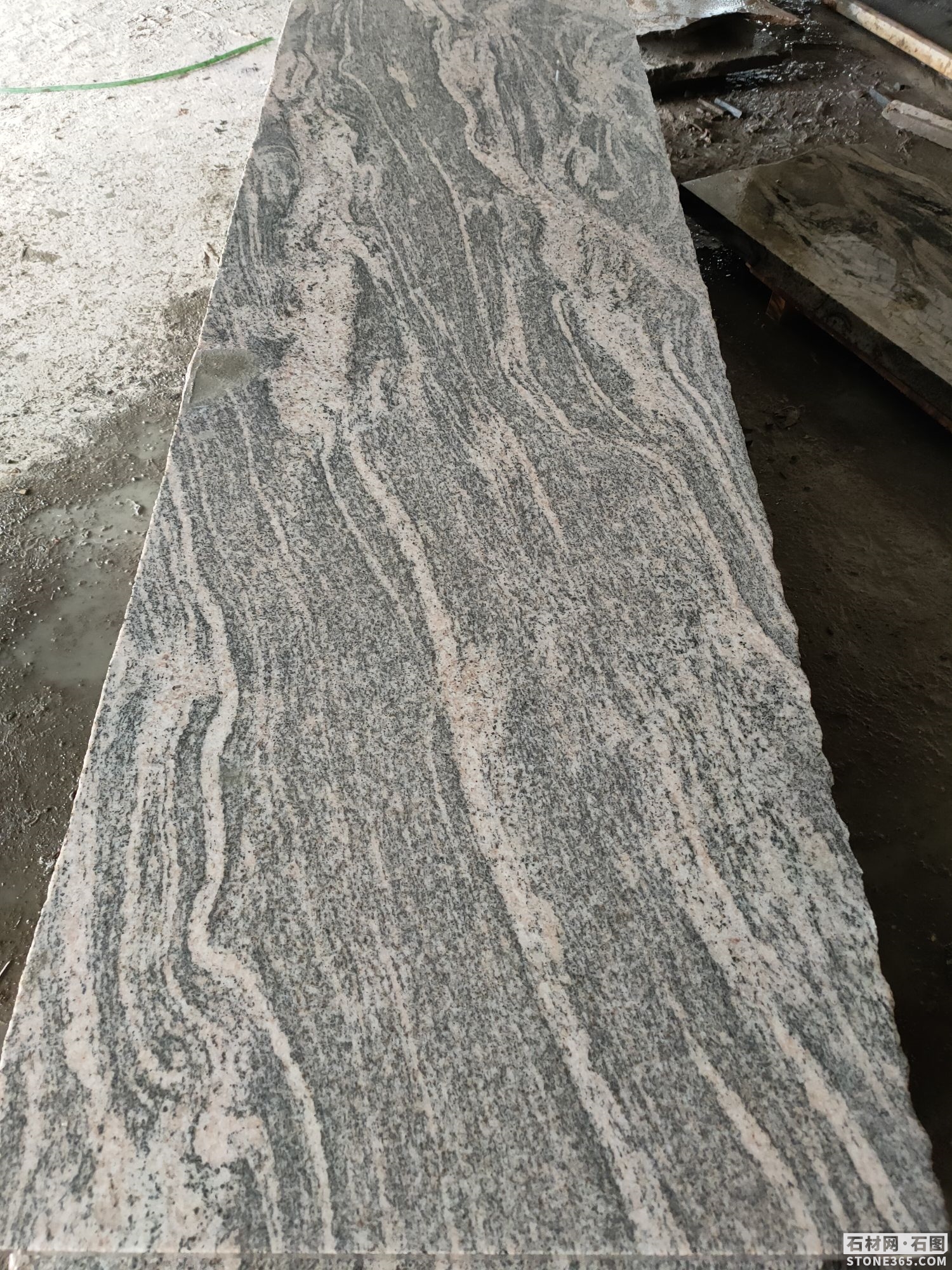 广西贺州芝麻黑- - 365石材网