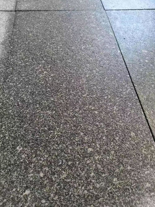 芝麻黑g654石材山东章丘黑石材